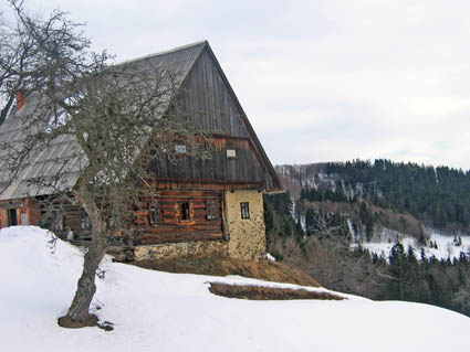 eika image